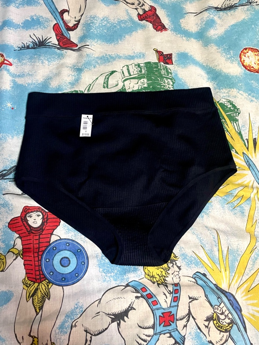 torrid 2 Black Ribbed High-Waist Brief NWT
